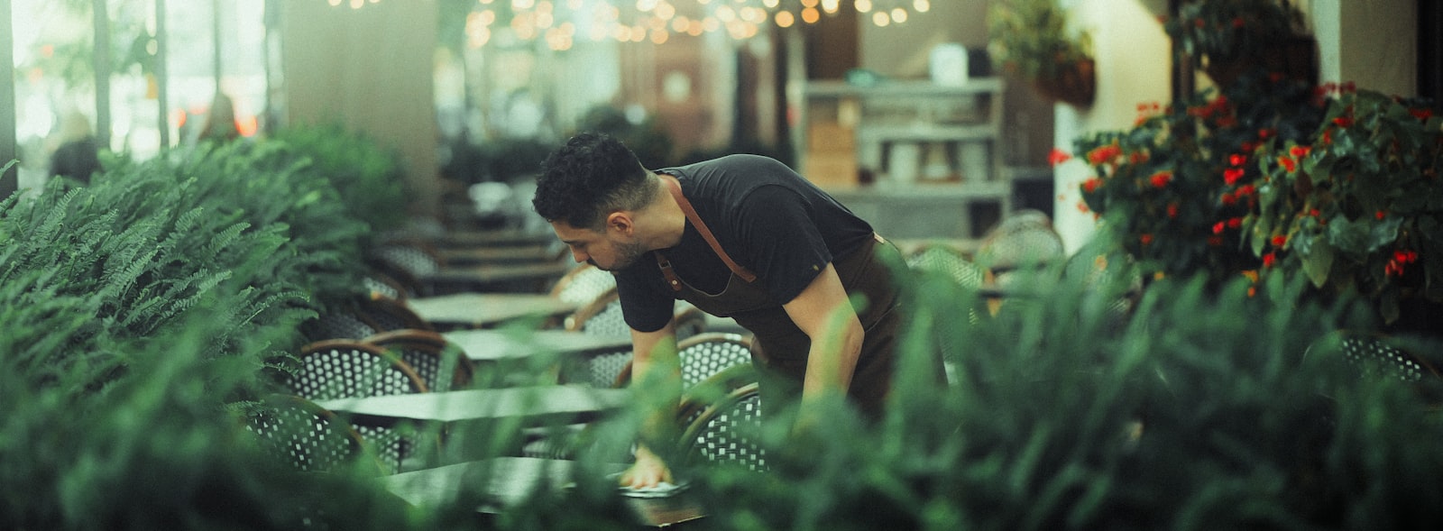 Man tending to lush green plants indoors.